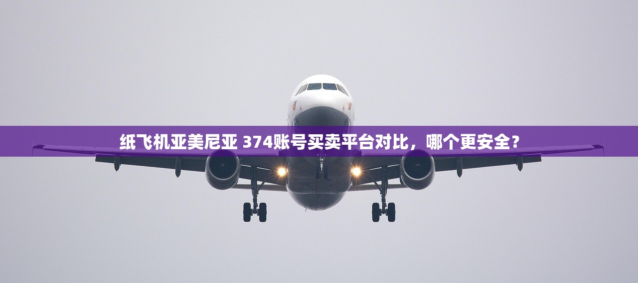 纸飞机亚美尼亚 374账号买卖平台对比，哪个更安全？