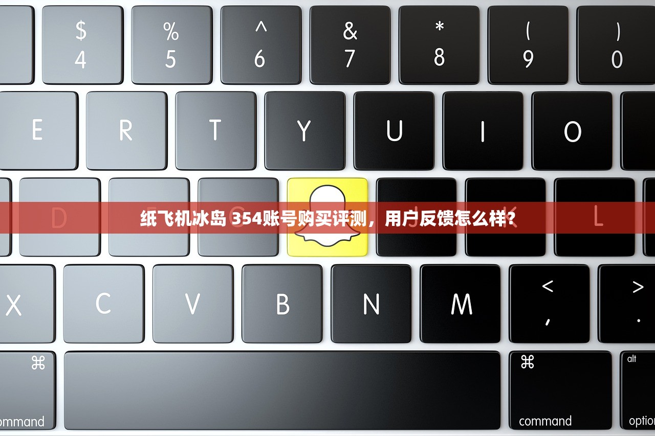 纸飞机冰岛 354账号购买评测，用户反馈怎么样？