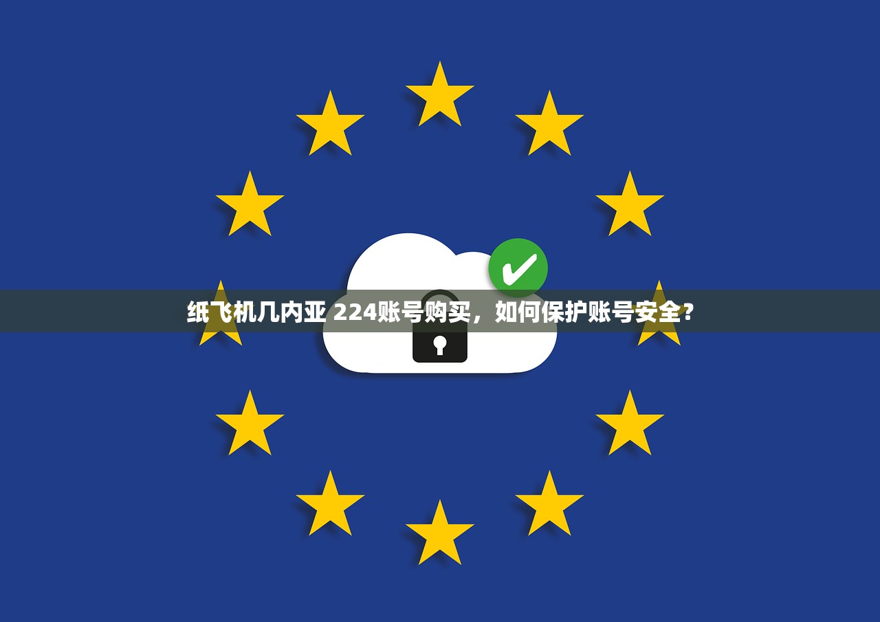纸飞机几内亚 224账号购买，如何保护账号安全？