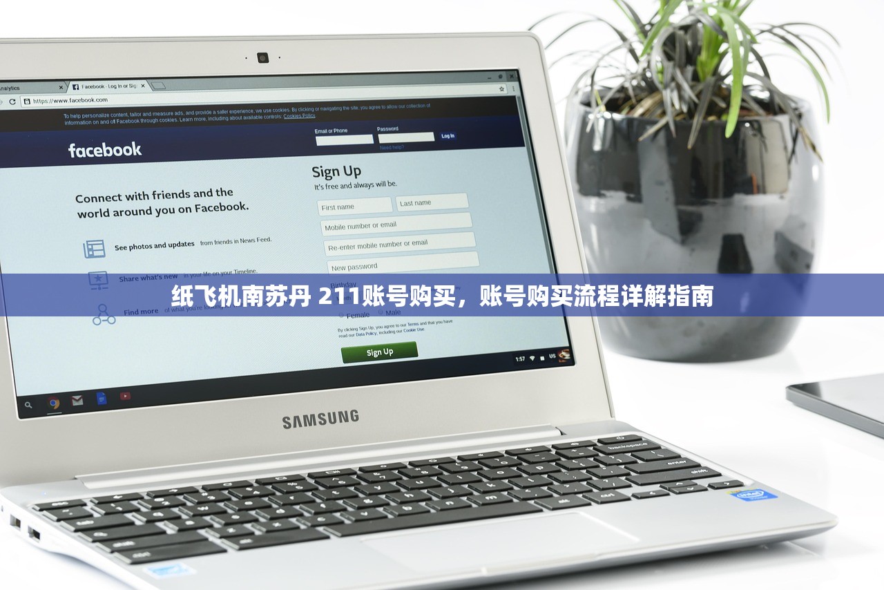 纸飞机南苏丹 211账号购买，账号购买流程详解指南
