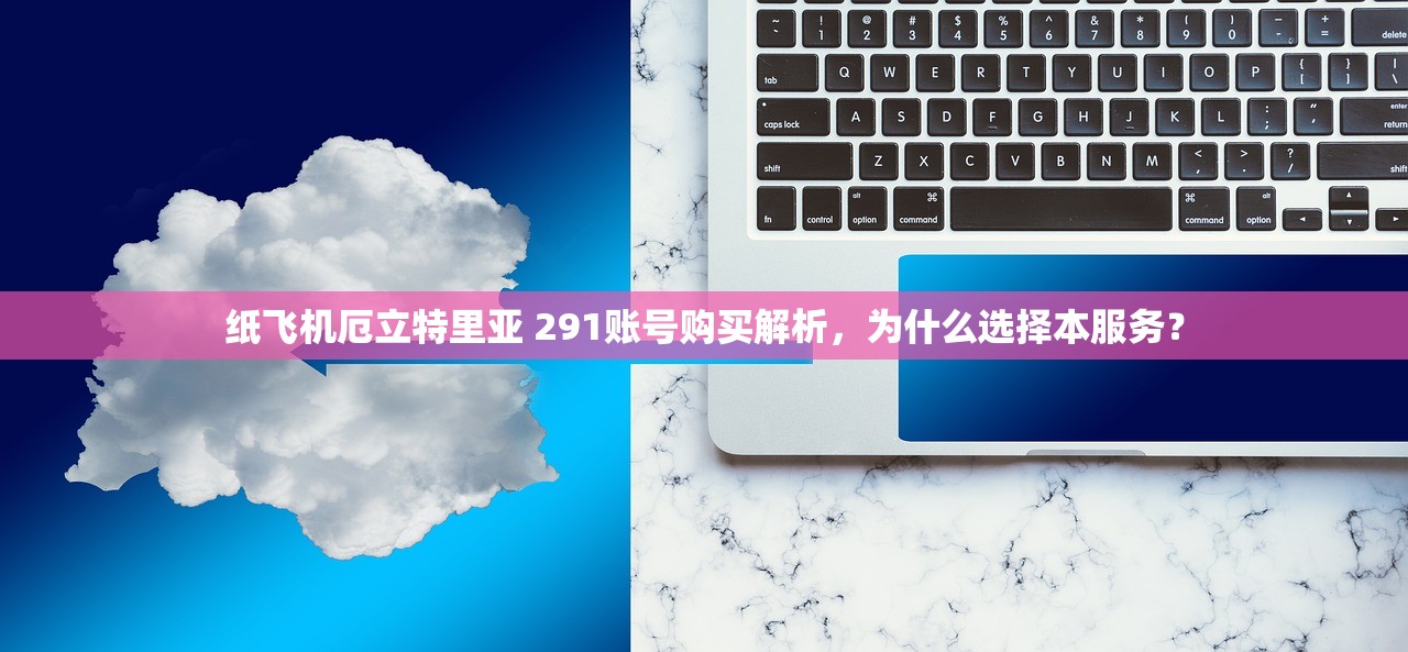 纸飞机叙利亚 963账号购买,为何价格波动大?
