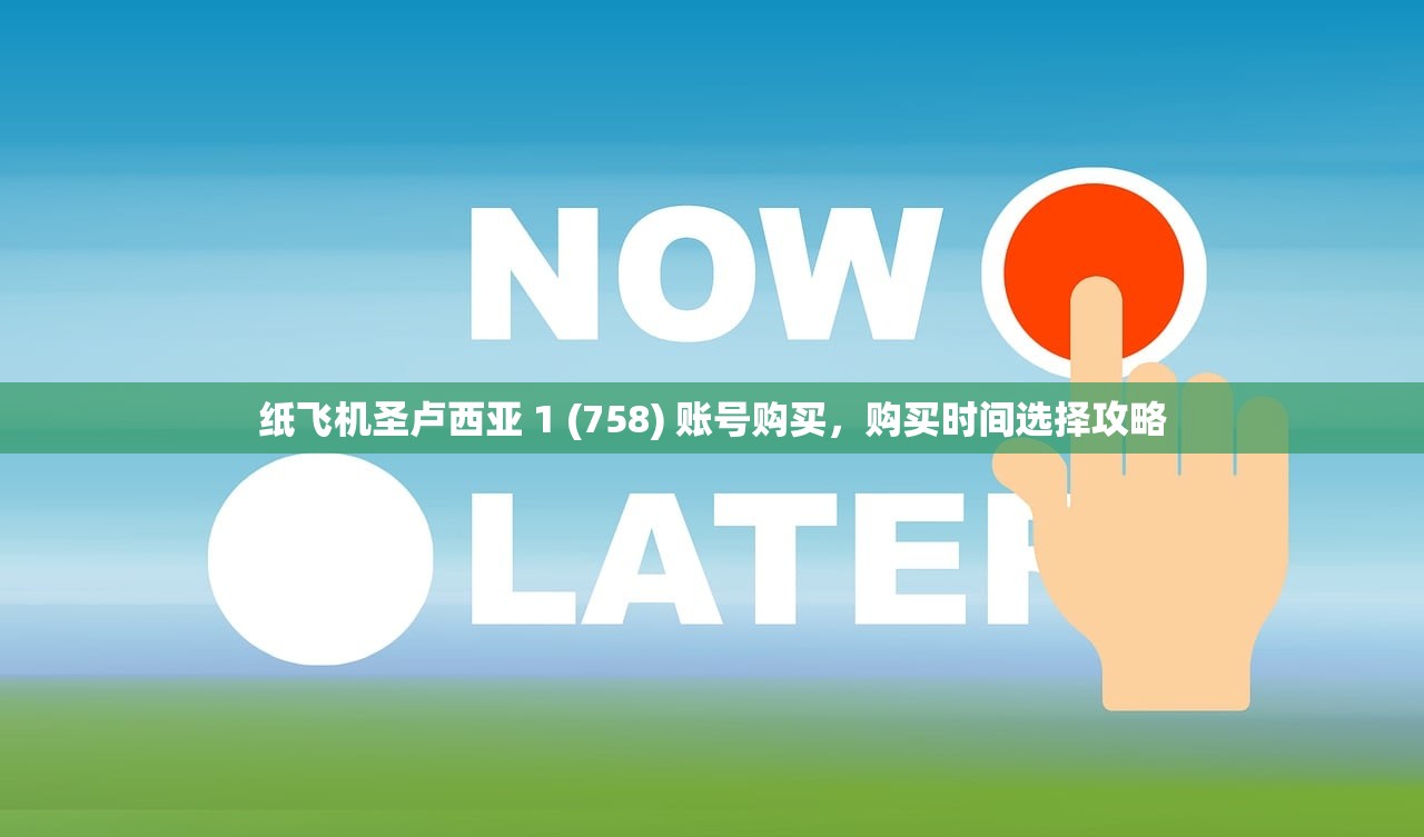 纸飞机圣卢西亚 1 (758) 账号购买，购买时间选择攻略