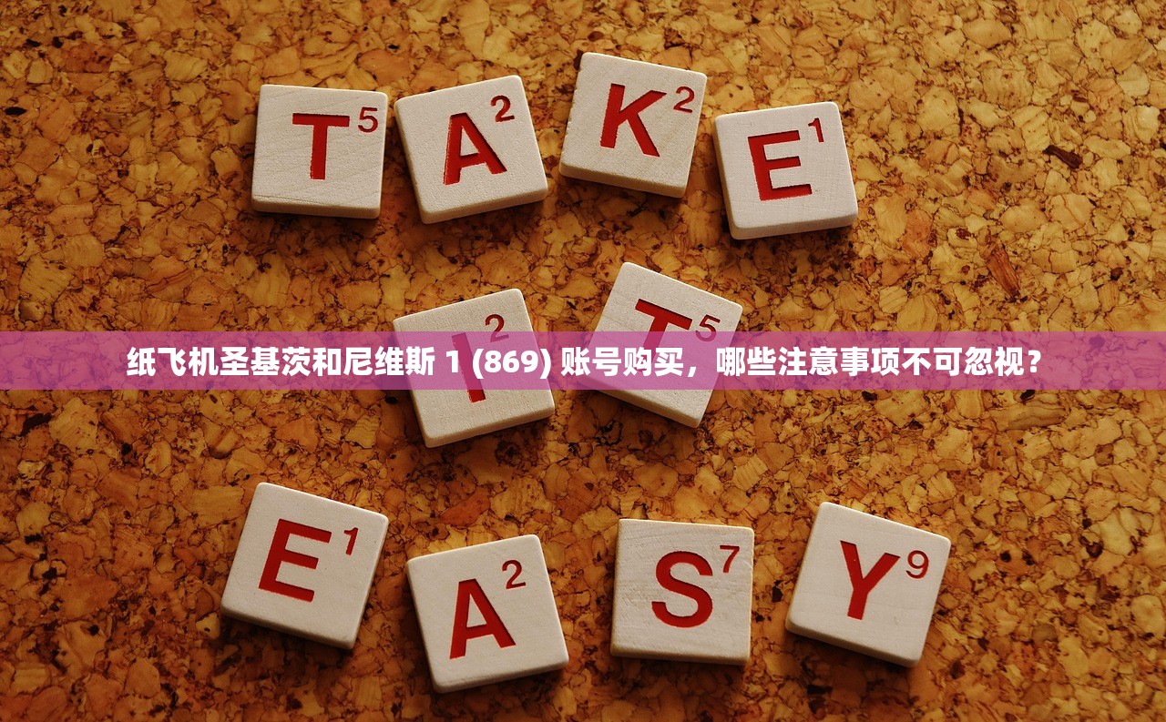 纸飞机圣基茨和尼维斯 1 (869) 账号购买，哪些注意事项不可忽视？