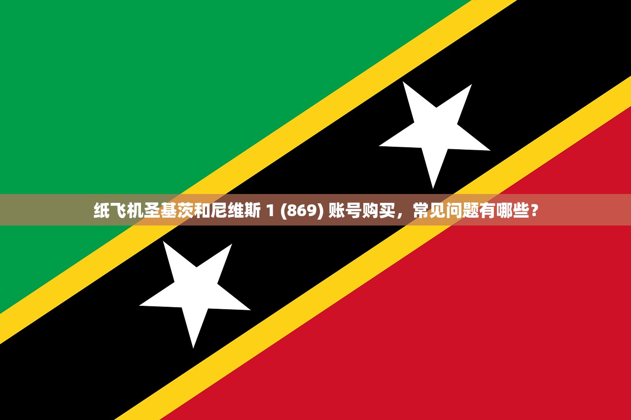 纸飞机圣基茨和尼维斯 1 (869) 账号购买，常见问题有哪些？