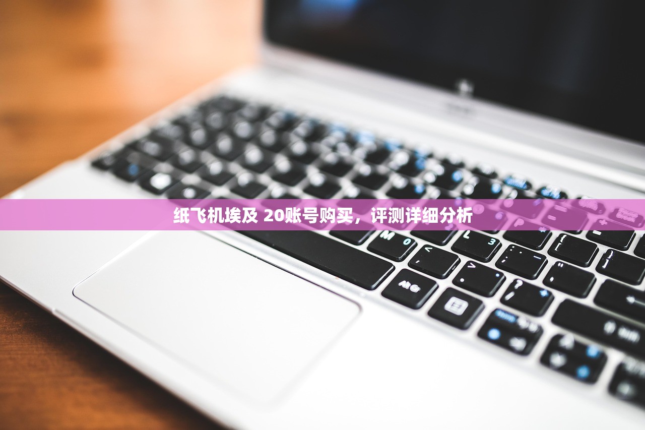 纸飞机埃及 20账号购买,评测详细分析
